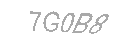 Güvenlik Kodu