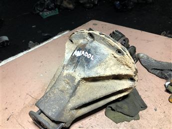 Anadol Defransiyel Karpuzu (2)