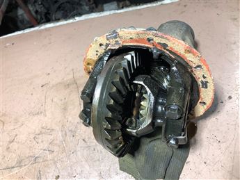 Anadol Defransiyel Karpuzu (3)