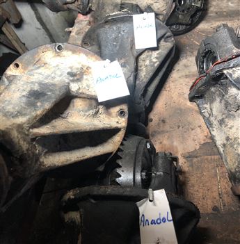 Anadol Defransiyel Karpuzu