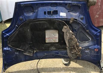 Fiat Punto EVO 2009-2012 Çıkma Motor Kaputu