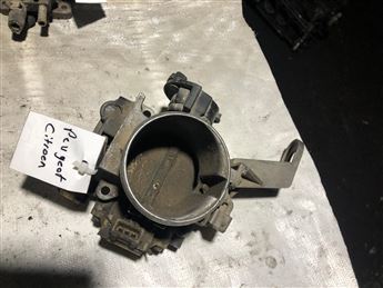 Peugeot Citroen Gaz-Boğaz Kelebeği